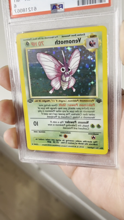 1999 POKEMON JUNGLE 1ST EDITION 13/64 VENOMOTH-HOLO PSA 6 - Image 2