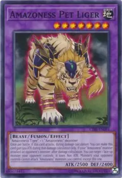 1x (LP) Amazoness Pet Liger - CIBR-EN094 - Common - Unlimited Edition YuGiOh - Image 1