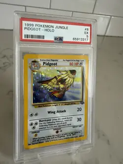 1999 Pokemon Jungle - Pidgeot Holo #8 - PSA 5 EX - Image 2