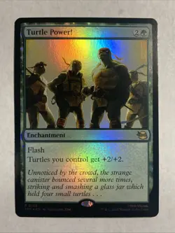 Turtle Power! Teenage Mutant Ninja Turtles Foil - Image 1