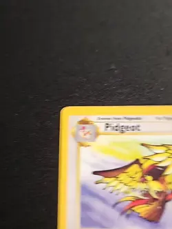 Pokemon TCG Pidgeot Jungle 24/64 Regular Unlimited Rare - Image 2