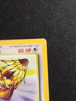 Pokemon TCG Pidgeot Jungle 24/64 Regular Unlimited Rare - Image 4