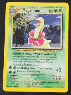 Pokemon Meganium Holo Near Mint NM 2000 Neo Genesis 11/111 Rare - Image 1