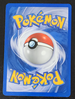 Pokemon Meganium Holo Near Mint NM 2000 Neo Genesis 11/111 Rare - Image 2