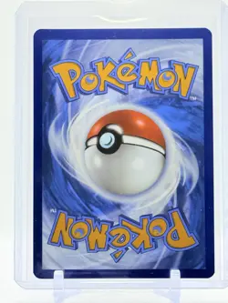 2025 Pokemon N'S ZORUA #189 SV: JTG ETB Black Star Promo - Never Played 🔥 - Image 2