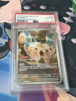 Pokemon TCG Pachirisu Holo 208/198 Scarlet & Violet Illustration Rare PSA 10 - Image 1