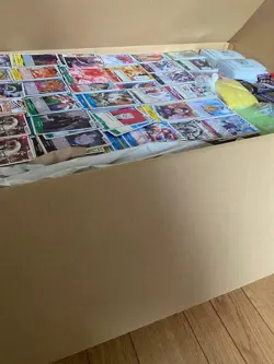 20,000+ One Piece Card Game Japanese Bulk Lot Retirement Sale Collection Used - Image 2