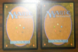 MTG Zendikar Roil Elemental x2 Unplayed Excellent - NM - Image 2