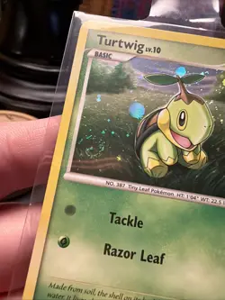 Pokemon TCG Turtwig DP Black Star Promo DP01 Holo Promo LP+ Nice SWIRL - Image 2