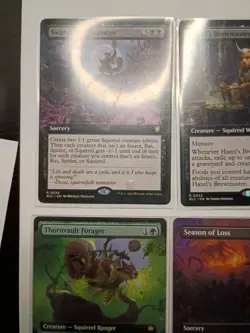 Squirrel Mtg Lot Collection - Image 1