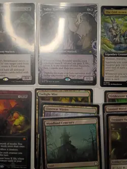 Squirrel Mtg Lot Collection - Image 5