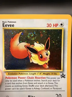 Pokemon 2000 Eevee Black Star Promo #11 Near Mint 🌀"Swirl Above Its Tail - Image 2