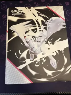 Pokemon Binder Lot 132 Cards ALL HITS (MegaEv,DestRiv,ObsFla,PrisEv,PhanFla) - Image 2
