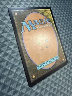 MTG Brainstorm #7019 Rare Secret Lair Drop Series (SLD) - Image 4