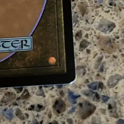 Misty Rainforest 220 Zendikar Regular MYG TCG CARD NM - Image 3