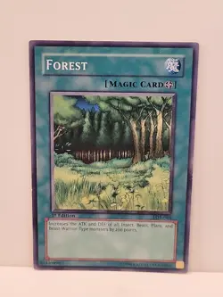 1x (LP) Forest - LOB-046 - Common - 1st Edition YuGiOh - Image 1