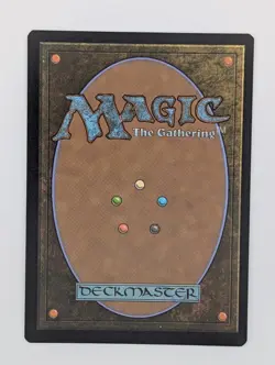 Forlorn Flats *Foil* - NM - Outlaws of Thunder Junction - MTG - Image 2