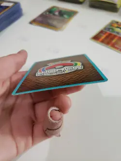 Celebi World Championships 2012 92/102 (Pokemon TGC) LP - Image 4