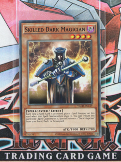 Yugioh Skilled Dark Magician YGLD-ENC19 Unlimited Common - Image 1