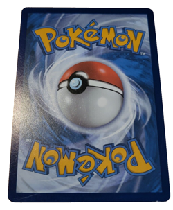 Pokemon TCG Evolving Skies Hippopotas 084/203 Trading Card (G0 - Image 2