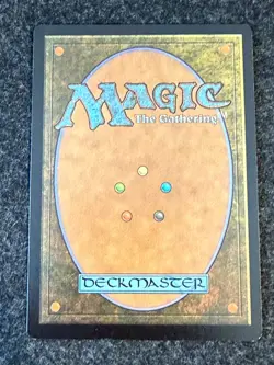 Waterlogged Grove - Borderless - Assassin's Creed - ACR MTG - Image 2