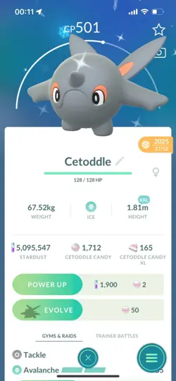 Pokemon Go Shiny Cetoddle ( XXL) - Image 1