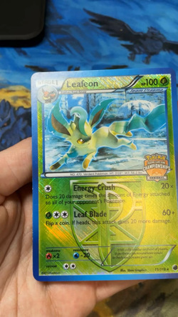 Leafeon 11/116 Holo Promo Foil 2013 Pokemon Card Championships #2546 - Image 2