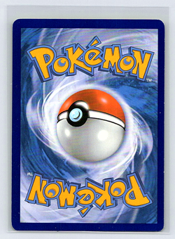 Teddiursa RC15/RC25 Reverse Holo Pokemon Card – Radiant Collection (2013) - Image 2