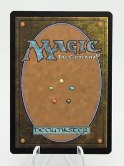 1 x Island (0192) - Foil - Teenage Mutant Ninja Turtles - NM-Mint - MTG - Image 2