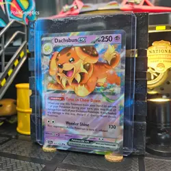 Dachsbun ex Stellar Crown Ultra Rare Pokemon TCG 067/142 Scarlet & Violet SV07 - Image 2