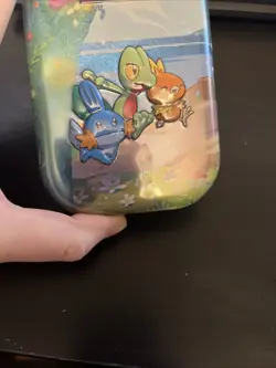 EMPTY Hoenn Starter Treecko Torchic Mudkip Pokemon Celebrations Mini Tin - Image 2
