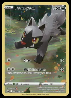 Pokemon Cards Poochyena GG33/GG70 Crown Zenith Galarian Gallery Holo NM - Image 1