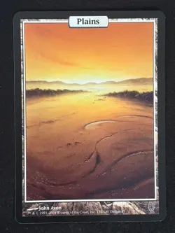 1x MTG Plains - Full Art - Unhinged (UNH) #136 - Magic the Gathering - Image 5