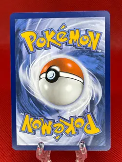 Pokemon TCG Dachsbun EX 067/142 S&V Stellar Crown Double Rare English 2024 NM - Image 2