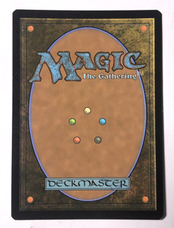 Iguana Parrot FOIL 56 Avatar the Last Airbender MTG Magic the Gathering NM - Image 2