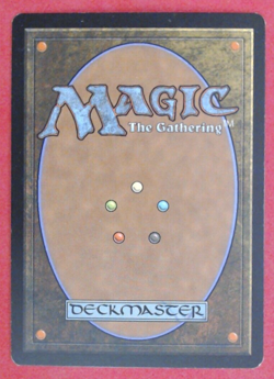 MTG Bling - Foil Old Border Retro Basic Land - Forest (348) - Odyssey -i141 - Image 2
