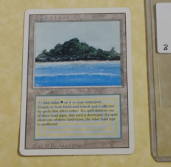 TROPICAL ISLAND LPMP -- Revised MTG -- See Photos - Image 1