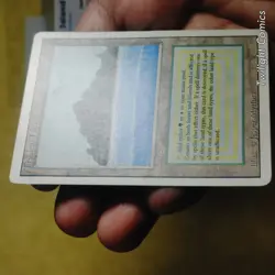 TROPICAL ISLAND LPMP -- Revised MTG -- See Photos - Image 3