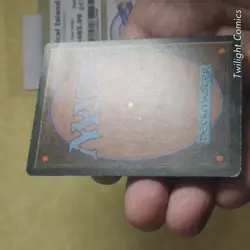 TROPICAL ISLAND LPMP -- Revised MTG -- See Photos - Image 4