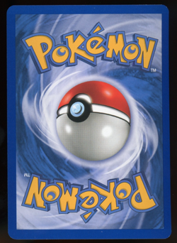 Pokemon 2003 Ex Ruby & Sapphire - Zigzagoon - Reverse Holo - 79 - Image 2