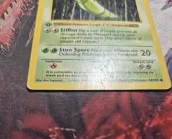 1999 Pokemon TCG Metapod 1st Edition Shadowless Base Set 54/102 MP/HP - Image 5