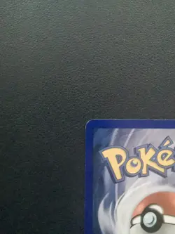 Pokemon Card Poochyena 58/108 EX Power Keepers Common - Image 5