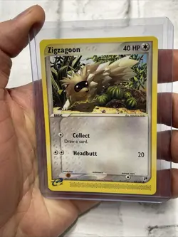 Pokemon TCG Zigzagoon EX Sandstorm 85/100 Regular Common NM/MT Vintage Card TCG - Image 1