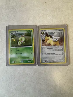 20 Pokemon Cards Including Rare Holo Turtwig And Shieldon 1st Edition DarkGolduc - Image 1