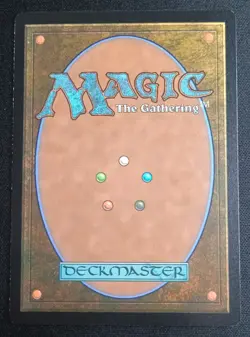 MTG TMNT - Mikey & Leo, Chaos & Order - Foil Borderless Rare - Image 2