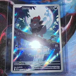 2025 Pokemon White Flare #142 Zorua Holo Illustration Rare PSA 10 - Image 1