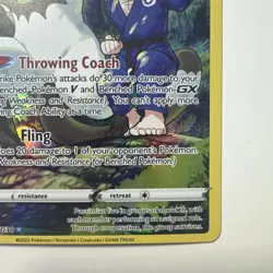 Passimian TG08/TG30 Pokemon TCG Silver Tempest Trainer Gallery Holo Ultra Rare - Image 4