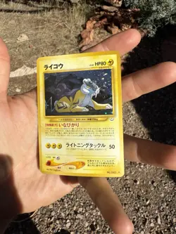 Raikou No.243 Pokemon Card Japanese Neo Revelation Holo Rare Vintage 1996 - LP - Image 4