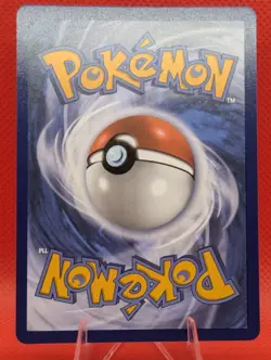 Pokemon PFLN 2 Card Lot: Dawn Supporter, Mega Sharpedo EX Foil - Image 4