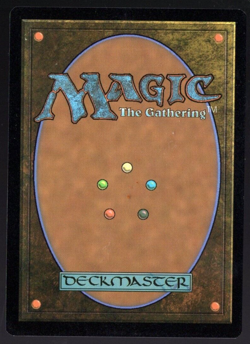 Pelargir Survivor 0064 Common Foil Lord of the Rings MTG Near Mint - Image 2